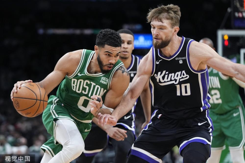 辛纳的职业 辛纳的职业